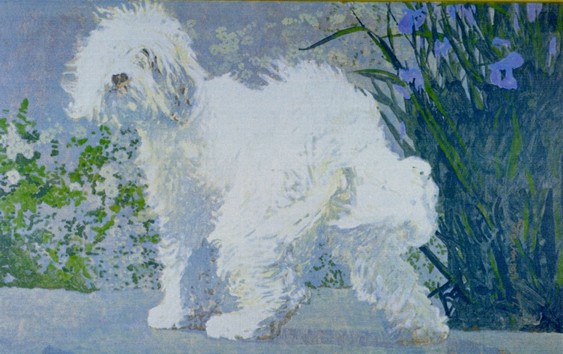 Tippy by Charles Marchant Stevenson (1953). Acrylic on cloth covered wood panel (30" x 50").