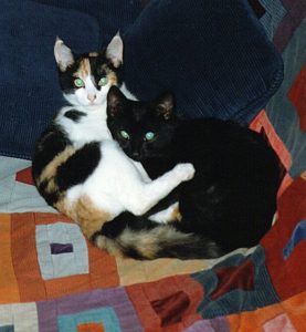 Madge and Buster on Fran's mother's quilt, Caspar (1996). Photo: Fran Moyer