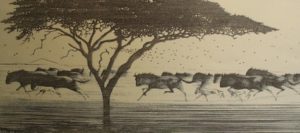 One Day in East Africa 03 (1991). Toshi Yoshida. Woodblock print, handcut by the artist, with zinc effect (10.5 x 23.6). Monochrome artist's print. SKU: TY03M