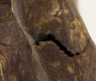 The small opening below the left knee occurred during the casting process and does not compromise structural integrity of Bill Zacha's Priam II (detail).