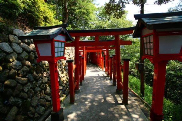 Torii at the Taikodani Inari Shrine